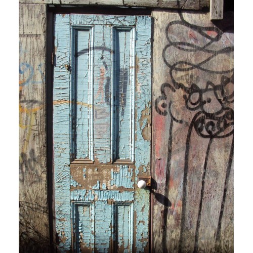 Sari Distressed Door