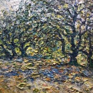 Ensoleillement Sous Les Oliviers Provence